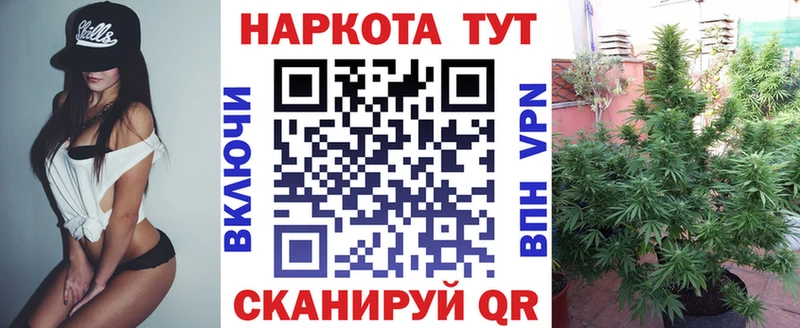 Виды наркотиков купить Городище Марихуана  АМФЕТАМИН  ГАШИШ  Мефедрон 