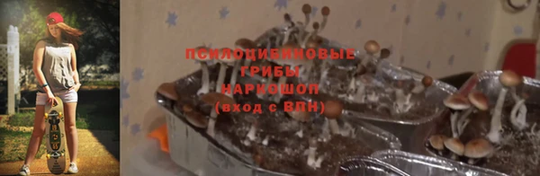 мяу мяу мука Строитель