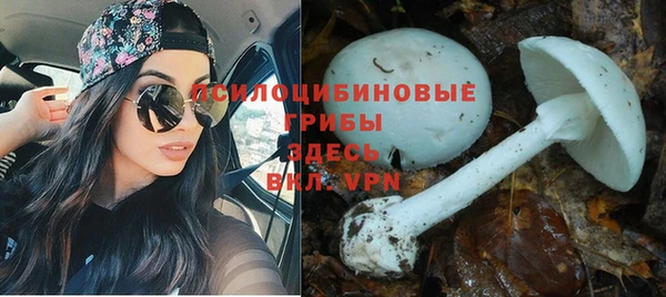 мяу мяу мука Строитель